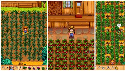 Stardew Valley: The 6 Best Unique Crop Combos To Try Out