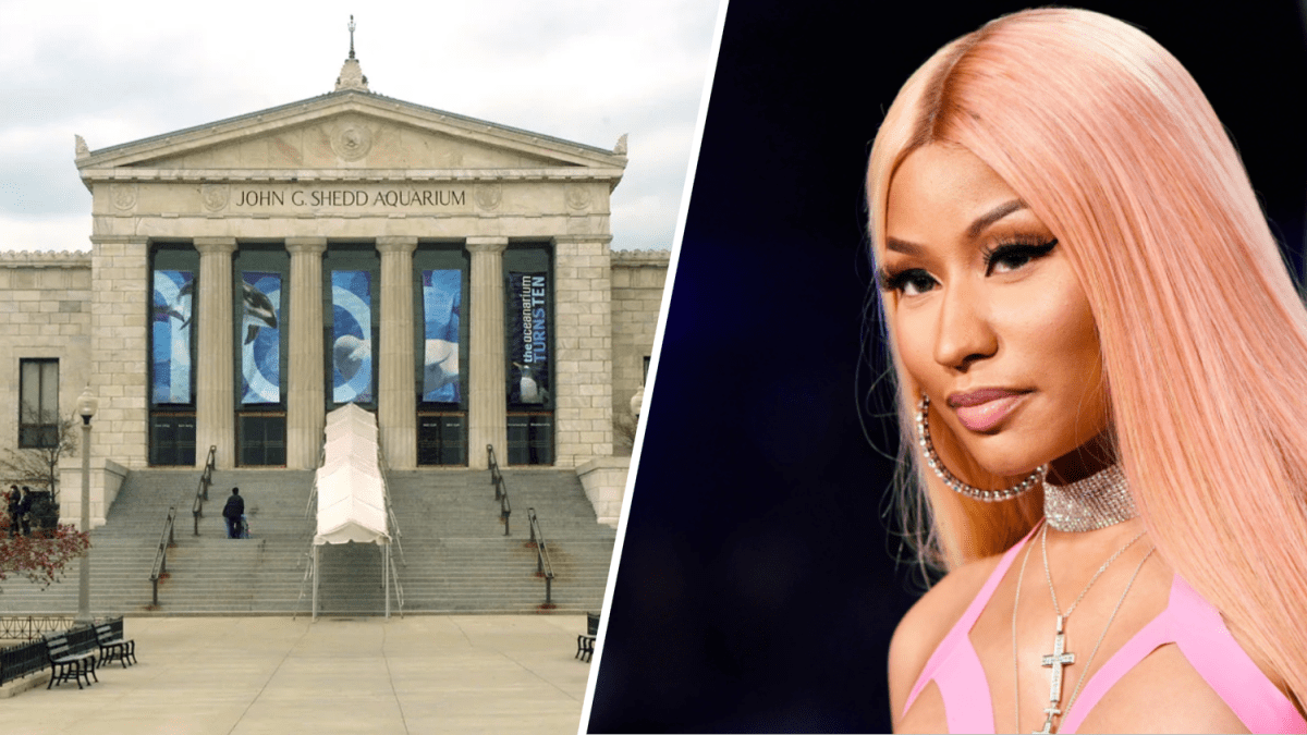 Nicki Minaj has hilarious, relatable mom moment while visiting Shedd Aquarium with her son