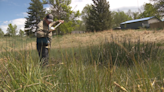 Denver is keeping an eye on mosquitos — and Coloradans should be, too