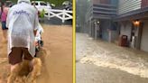 Dollywood Visitors Trapped by Flash Floods After Intense Storm