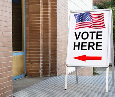 DeKalb voter's guide | Here's what is on the ballot, where to vote and more