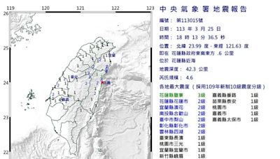 地牛翻身！花蓮近海芮氏規模4.6地震 最大震度花蓮縣3級