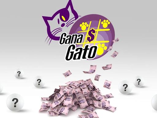 Resultados Gana Gato: ganadores del sorteo del 25 de mayo