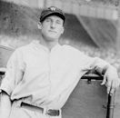 Goose Goslin