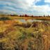 Occoquan Bay National Wildlife Refuge