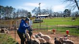 An Upstate drought ended in January. For farmers, the ramifications lasted for months.