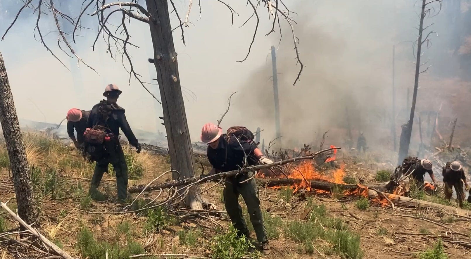 Blue 2 wildfire now burning through 7,000 acres of land in Lincoln National Forest