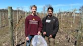 University of Minnesota students say they've found an 'eco-friendly' way to trap and kill Japanese beetles