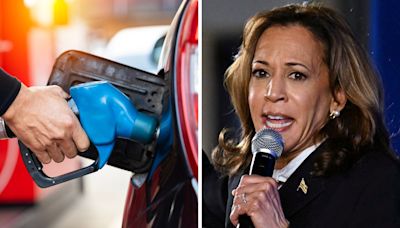 US gas prices nearing three-year low in possible boost for Kamala Harris