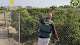 Investigan a dos hombres que fueron sorprendidos mientras robaban 250 kilos de cítricos en Rojales