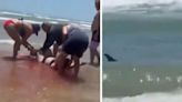 Pánico en la playa: las impactantes imágenes del brutal ataque de un tiburón a dos bañistas en Texas