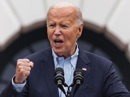 Democrats weigh risks and rewards of losing Biden