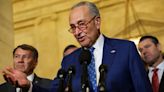 US Senator Schumer: AI meeting discussed urgent actions needed before election