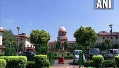 Madhya Pradesh HC judgment on Hindu-Muslim marriage regressive, against law, say legal experts