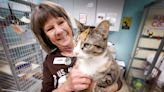 Here's how this adventurous cat will be reunited with Topeka family after 3 years missing