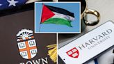 Harvard, Brown, IUP took $10M from foundations, donors in the ‘State of Palestine’: report