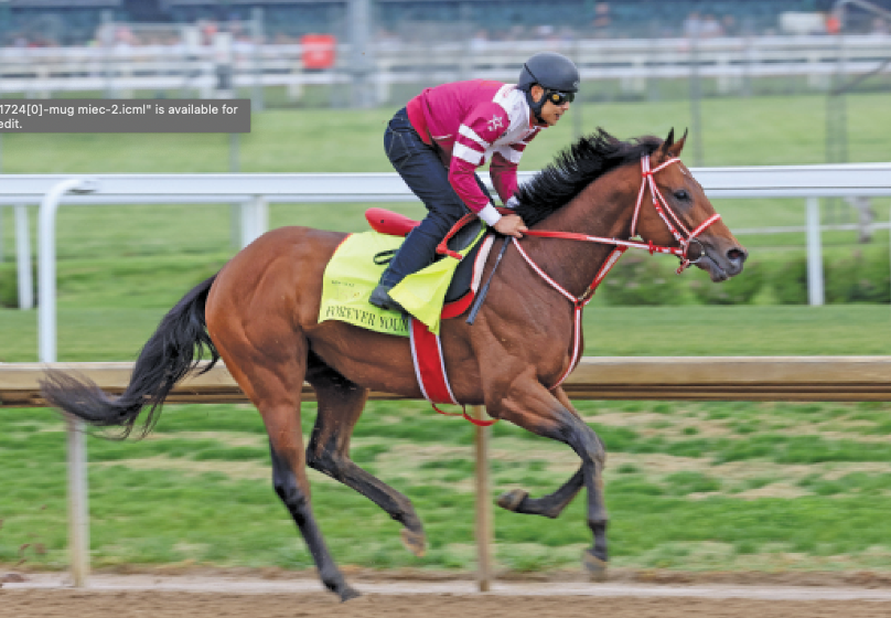 Handicappers make their picks for the Kentucky Derby