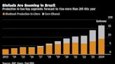 Lula’s Green Fuel Law Favors Farmers Over Oil Giant Petrobras