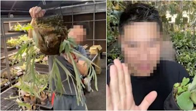 真實版《馴鹿寶貝》？老闆被女顧客騷擾多年 手機也被控制