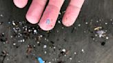 Microplastics may be new risk factor for cardiovascular disease, researchers say