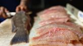 How to Fillet a Fish: Step-By-Step Guide