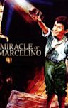 Miracle of Marcelino