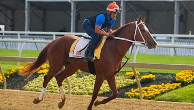 2024 Preakness Stakes horses, futures, odds, date: Expert who hit last year's superfecta releases picks