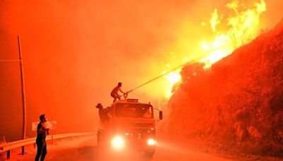 Mueren tres personas a causa de un incendio forestal en el oeste de Turquía