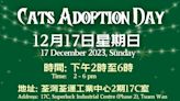 香港拯救貓狗協會明辦領養日 貓貓尋家過聖誕