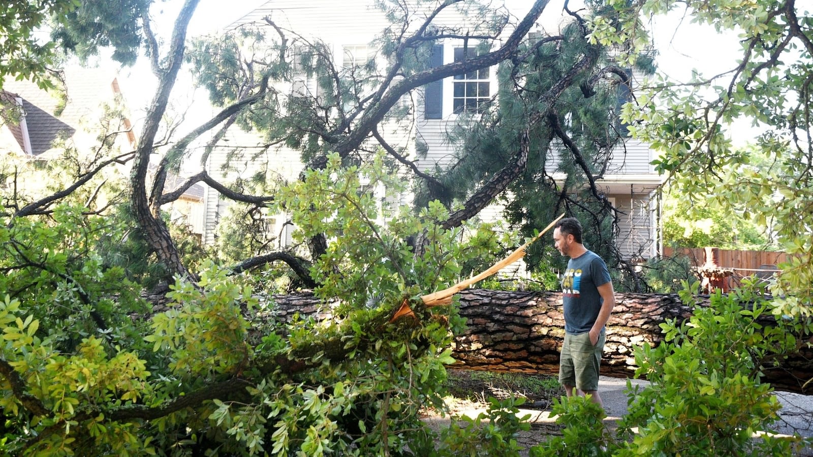 Months after storm devastated Shreveport, Louisiana, planting the seeds of change: Reporter's Notebook