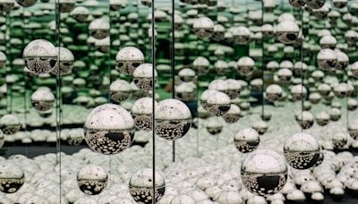 An immersive Yayoi Kusama 'Infinity Room' is coming to the Speed Art Museum. Here's what to know