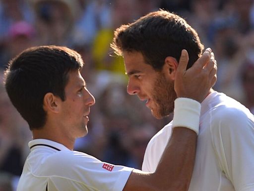 Novak Djokovic's class shines as Serb fulfils Juan Martin del Potro's dream