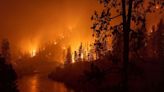 Forest fires destroyed nearly 23 million acres of land in 2021, and it's expected to get worse, experts say