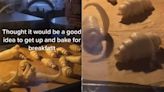 Croissants 'Unravel' Inside Oven In Viral Video, Internet Says, "Born To Be Papad"
