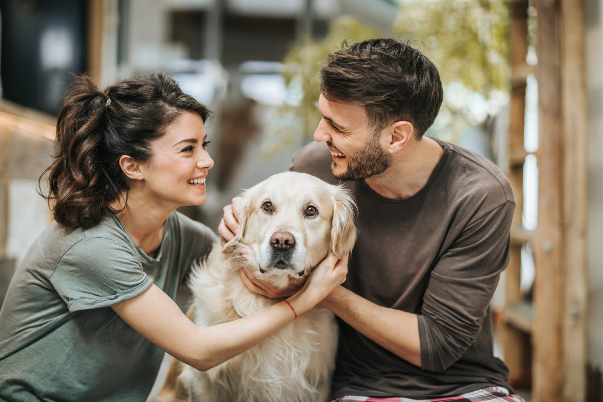 Pup prenups: An overwhelming number of people say they support proactively deciding the fate of their pets should they divorce