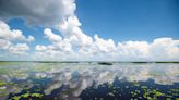 What are Lake Okeechobee discharges? Risks include water pollution and toxic algae blooms