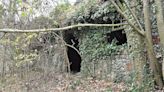 Body found in rural England barn triggers Europe-wide investigation