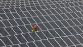 How SmartHelio aims to fix solar panels before they break