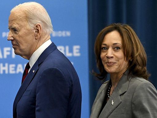 Biden has backed Harris. What happens next in US election?