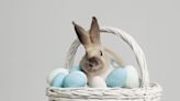 Please Don't Gift a Real Bunny for Easter: 4 Out of 5 Gift Rabbits Die Within a Year