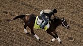 The Kentucky Derby could be a wet one. Early favorites Fierceness, Sierra Leone have won in the slop