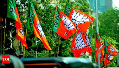 In a first, BJP scouts for Muslim to contest UP’s Kundarki seat in bypoll | Lucknow News - Times of India