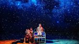 Review: Life of Pi isn't just a theatre show - it's a complete immersive experience