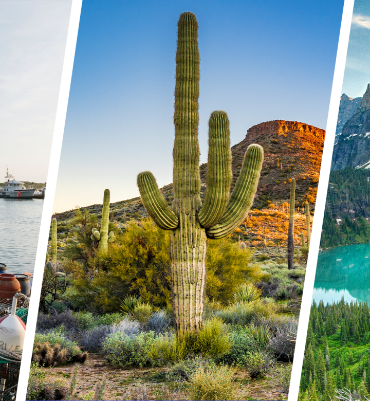 The 15 Best American Road Trips, Ranked