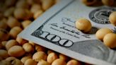 Con más dólares de la soja, el BCRA sigue con el shopping de reservas y se estabiliza el CCL