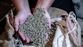 Brasil registra en abril un nuevo récord de sus exportaciones de café