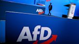 German Far-Right AfD Party Loses Ground After String of Scandals