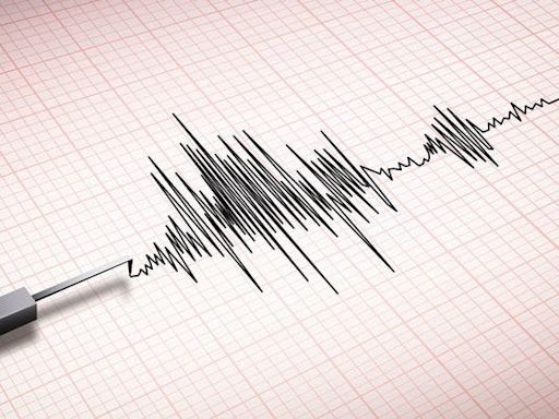 Lake Michigan had a 2.9 magnitude earthquake Friday morning, a rare occurrence