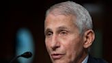 Fauci to step down after decades as top US infection expert