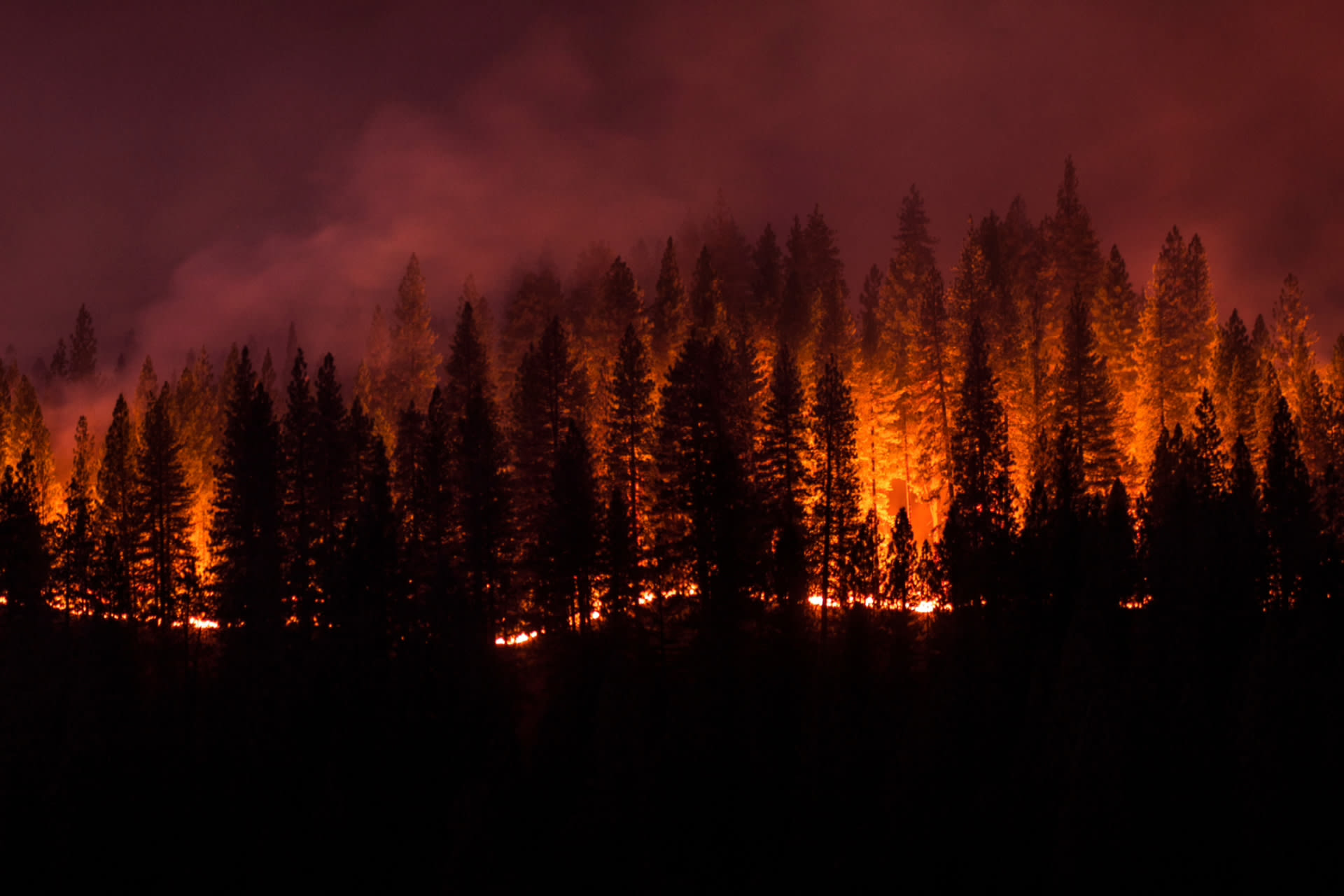 New research reveals troubling health implications of concurrent exposure to extreme heat and wildfire smoke: 'Can lead to a lot of issues'